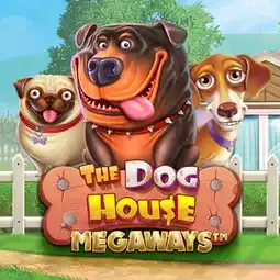 The Dog House Megaways gra w Coolzino Casino dla graczy z Polski The Dog House Megaways gra w Coolzino Casino dla graczy z Polski