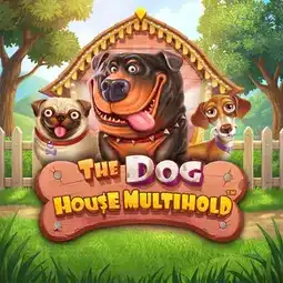 The Dog House Multihold gra w Coolzino Casino dla graczy z Polski The Dog House Multihold gra w Coolzino Casino dla graczy z Polski